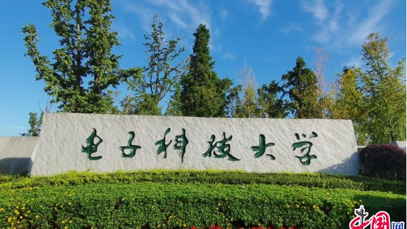 继电器安装前的关键检查：确保稳定运行的必备步骤**
